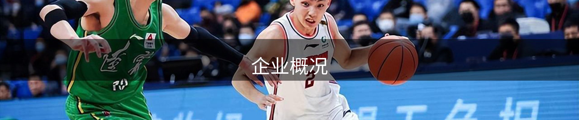 企业概况